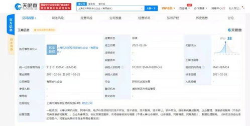 王思聰布局前沿科技領域，控股公司新設子公司聚焦電子與網絡技術